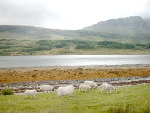 Schottland