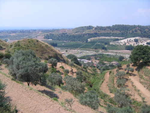 Gerace